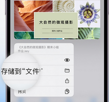 正安apple维修中心分享iPhone文件应用中存储和找到下载文件