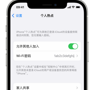 正安apple服务站点分享iPhone上个人热点丢失了怎么办