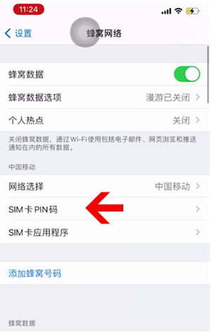 正安苹果14维修网分享如何给iPhone14的SIM卡设置密码 