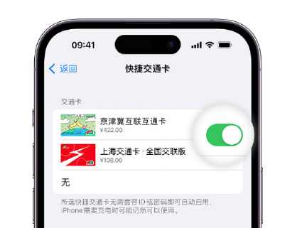 正安apple维修点分享iPhone上更换Apple Pay快捷交通卡手绘卡面 