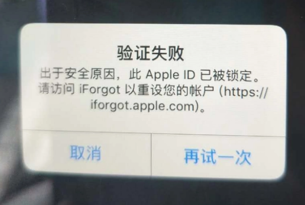 正安iPhone维修分享iPhone上正常登录或使用AppleID怎么办 