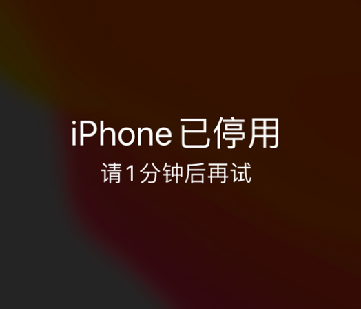 正安苹果手机维修分享:iPhone 显示“不可用”或“已停用”怎么办？还能保留数据吗？ 