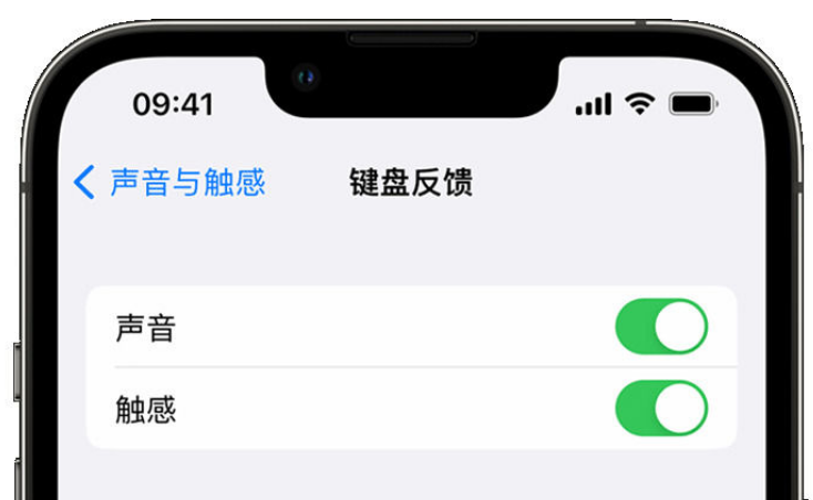 正安苹果手机维修分享iPhone 14触感键盘使用方法 