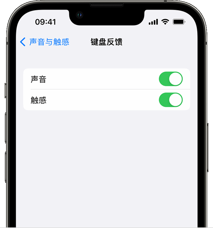 正安苹果14维修店分享如何在 iPhone 14 机型中使用触感键盘 