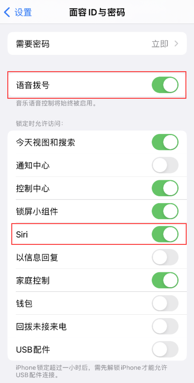 正安苹果维修网点分享不解锁 iPhone 的情况下通过 Siri 拨打电话的方法 