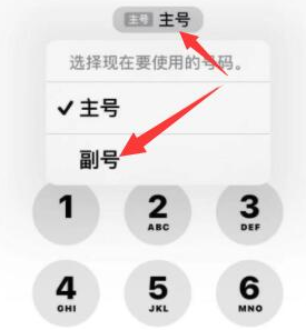 正安苹果14维修店分享iPhone 14 Pro Max使用副卡打电话的方法 