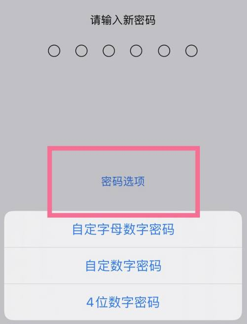 正安苹果14维修分享iPhone 14plus设置密码的方法 