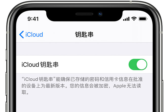 正安苹果手机维修分享在 iPhone 上开启 iCloud 钥匙串之后会储存哪些信息 